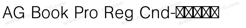 AG Book Pro Reg Cnd字体转换